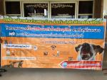 กิจกรรมรณรงค์ฉีดวัคซีนป้องกันโรคพิษสุนัขบ้า สำหรับสุนัขและแม